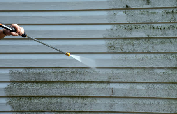 Professional  Pressure Washing Services in Pleasant Hill, TX